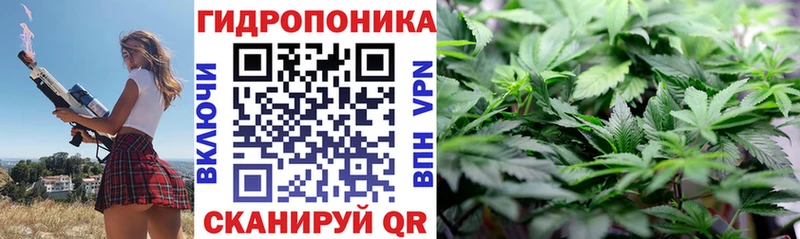 где продают наркотики  Сосенский  OMG как войти  Бошки Шишки AK-47 